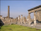 Pompeii, Sorrento, Naples 010